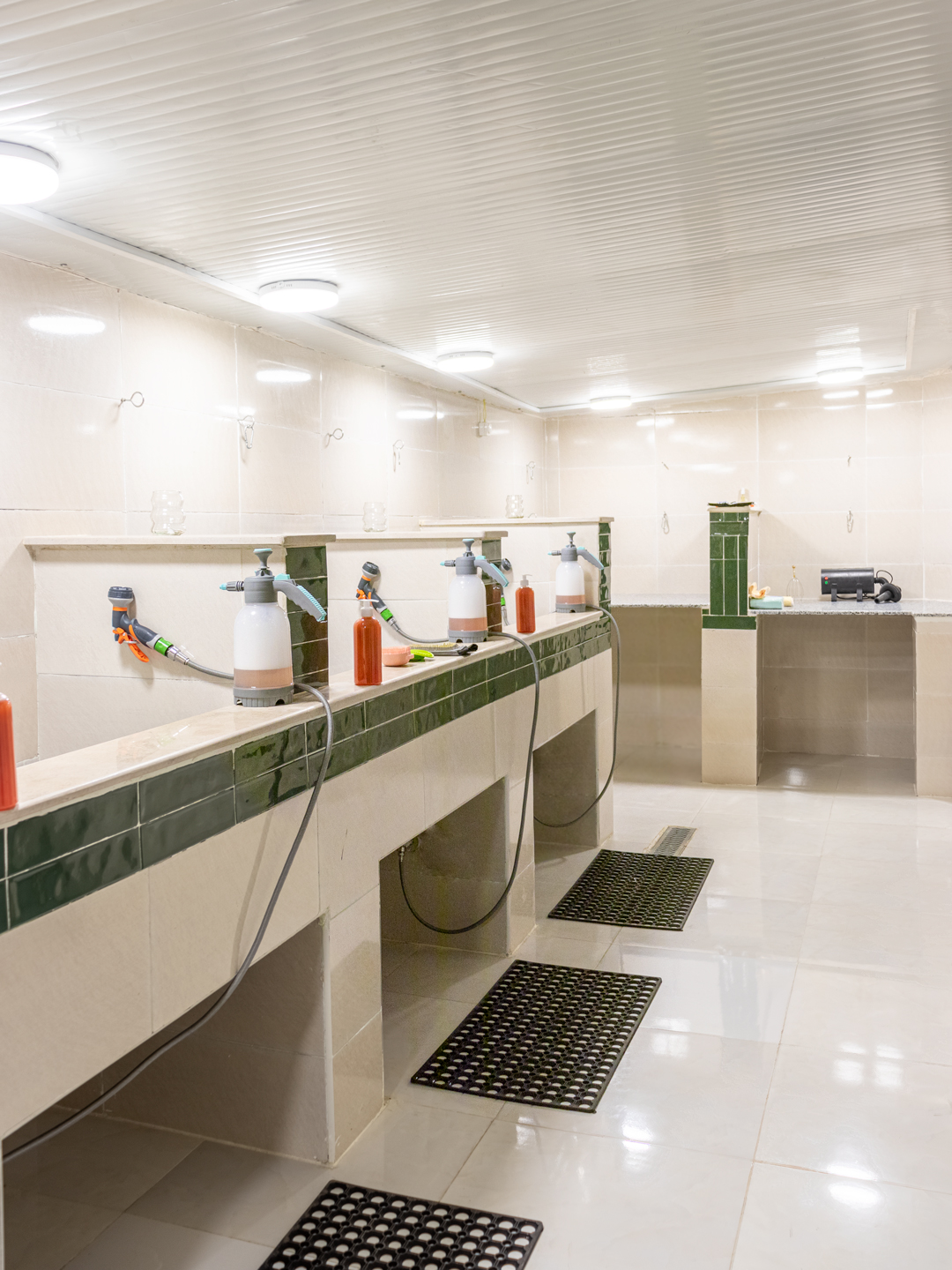 shower-vrr.jpg
